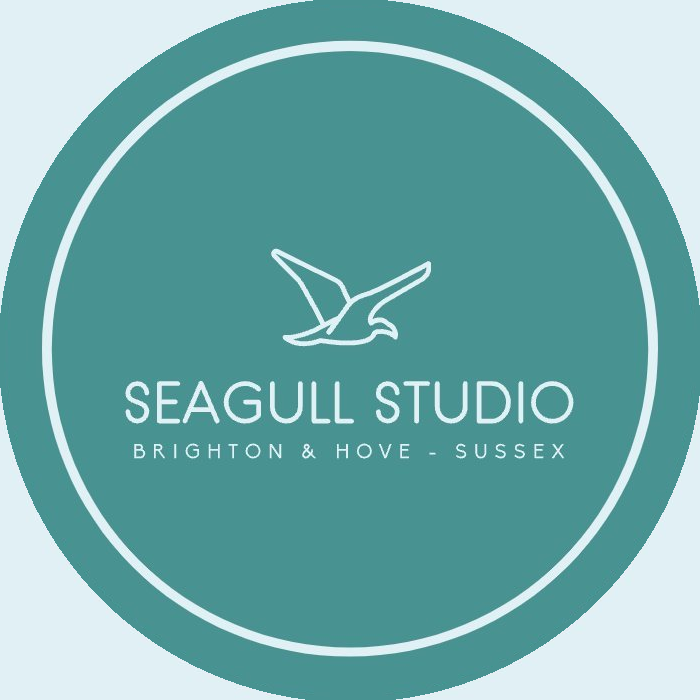 Seagull Studio logo