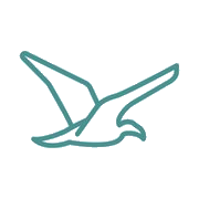 Seagull Studio logo